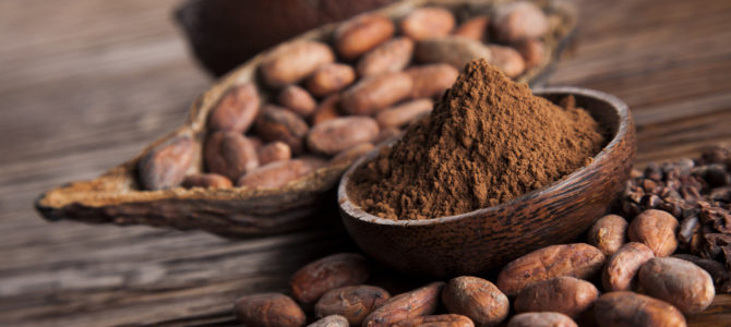 Your Cacao Questions Answered